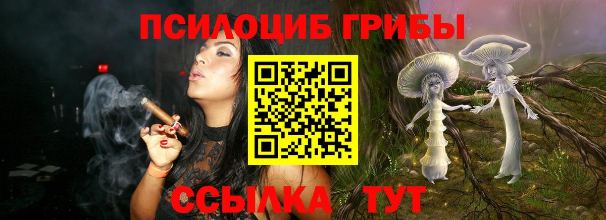 Галлюциногенные грибы GOLDEN TEACHER  Псилоцибиновые грибы Psilocybe  Вход с VPN  Старая Русса 