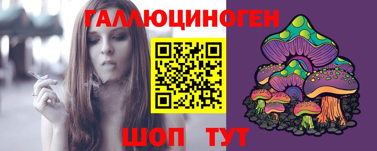 Псилоцибиновые грибы мицелий Старая Русса