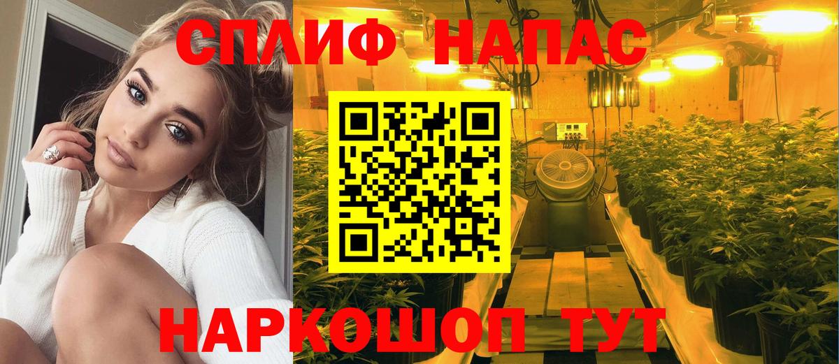 Марихуана конопля  Бошки Шишки AK-47  Канабис AK-47  Вход с VPN  Старая Русса 